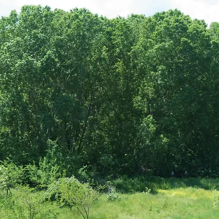 Διαμέρισμα Achilleas *