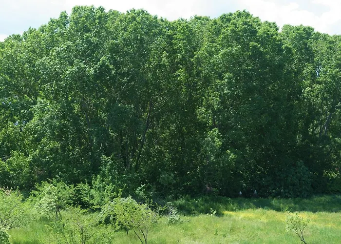 Apartment Achilleas *