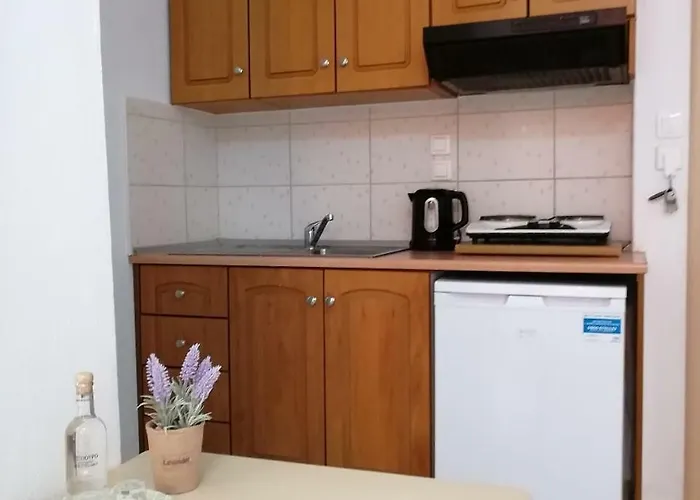 Achilleas Apartment Paralia Skotinis